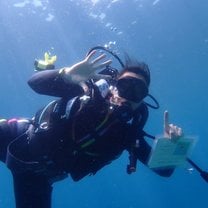 Reef Check Surveys