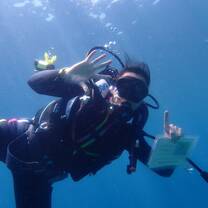 Reef Check Surveys