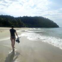 Beach at remote island paradise for reef survey 