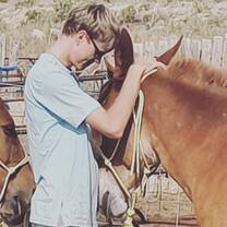 Lovely picture of me petting the mule Bamba