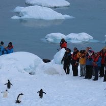Group of people on right watching penguins on the left on a snowy peninsula in the foreground, icebergs in water in the background.