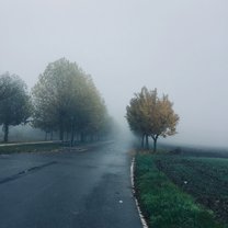 Foggy morning.