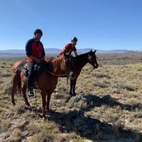 Cow camp ride