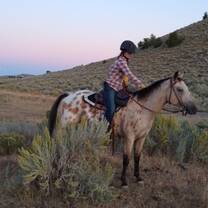 HorseWorks