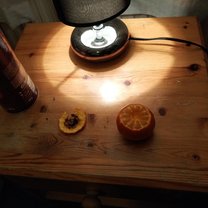 I accidentally put an orange on the lamp and left it there for hours.  I completely forgot about it for a couple of hours, and fortunately, it didn't turn out badly. Of course, I ate the orange in the end, the taste is not too bad.