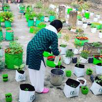 Organic farming Volunteering