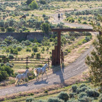 Ride through the HorseWorks entrance into a whole new Western ranch experience!