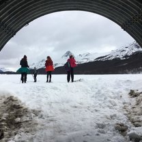 Four people standing in snow on skis in front of snowy mountains