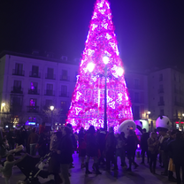 A dazzling Christmas tree glowing with vibrant purple lights in Madrid, Spain, surrounded by festive crowds, showcasing the holiday magic experienced by RVF International participants while teaching abroad.
