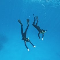 Snorkeling in the Great Barrier Reef, Australia 