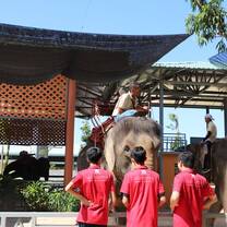 Teach English in Cambodia with Learning Jungle School