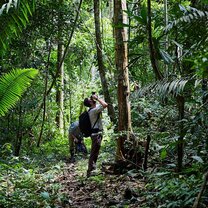 Bird watching in the Amazonian jungle.