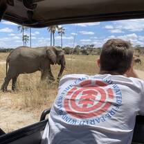 Close up elephant watching in National Park