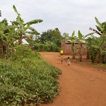 On site at Grace in Nakifuma, UG!