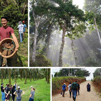 Global Health Experiential Education in Costa Rica