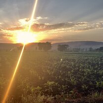 Sunset on the edge of the Village 