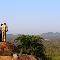 Looking out over the reserve