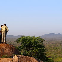 Looking out over the reserve