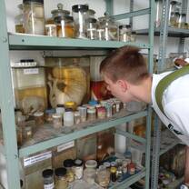 A travelor observing preserved animals in a local Nepal clinic. 