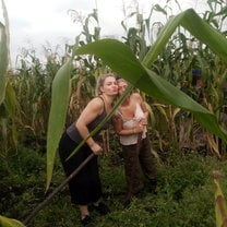 African digging 