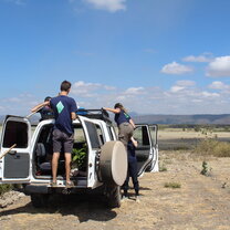 Afforestation in the bush