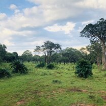 The place where you wait for the elephants to come