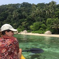 Malaysian Island