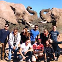 Bridging Gaps - Safari