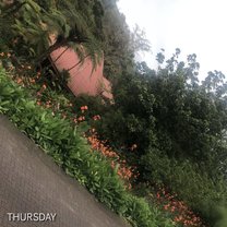 La fortuna 