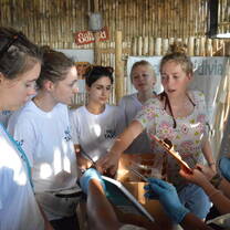 Develop your skills and lead ocean protection initiatives! 