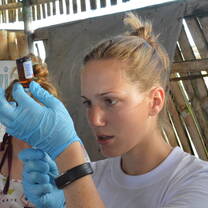 NGO Taxi's Surf & Help Camp is a great way to get hands-on experience with ocean wildlife rehabilitation.