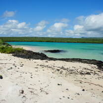 Imagine learning to surf here!