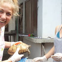 NGO Taxi volunteers protecting our oceans, one sea turtle at a time!