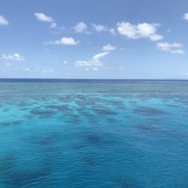 The reef was my favourite part of the trip. We got to Live aboard a boat for 3 days, see lots of marine life, snorkel 24/7, and swim with sharks.