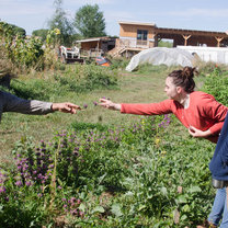 Reaching across a garden bed