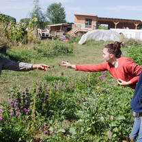 Reaching across a garden bed