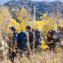 Hiking through golden Aspen forests