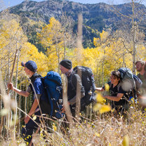 Hiking through golden Aspen forests