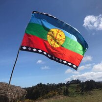 Mapuche Flag - Puerta Saavedra A mapuche flag flies against a blue sky