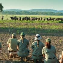 Learn about wildlife in South Africa
