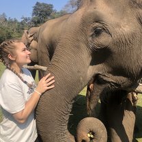 Feeding the elephant bananas!!