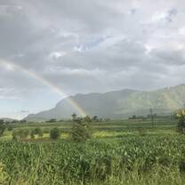 View outside of the mini van on route from Zomba back to Blantyre.