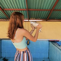 Working at the Turtle Centre