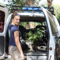 Selecting and loading trees ready for tree planting