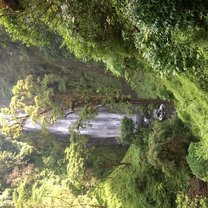 The waterfall