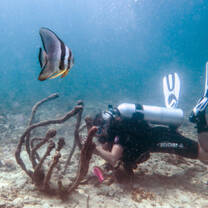 Marine conservation volunteer