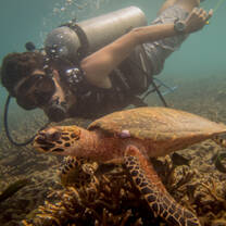 Scuba diver and turtle