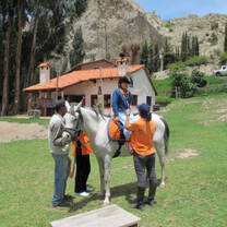 Equine Therapy Program