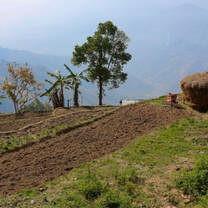 View over valley