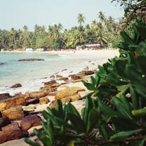 Beautiful coastal scene in Sri Lanka